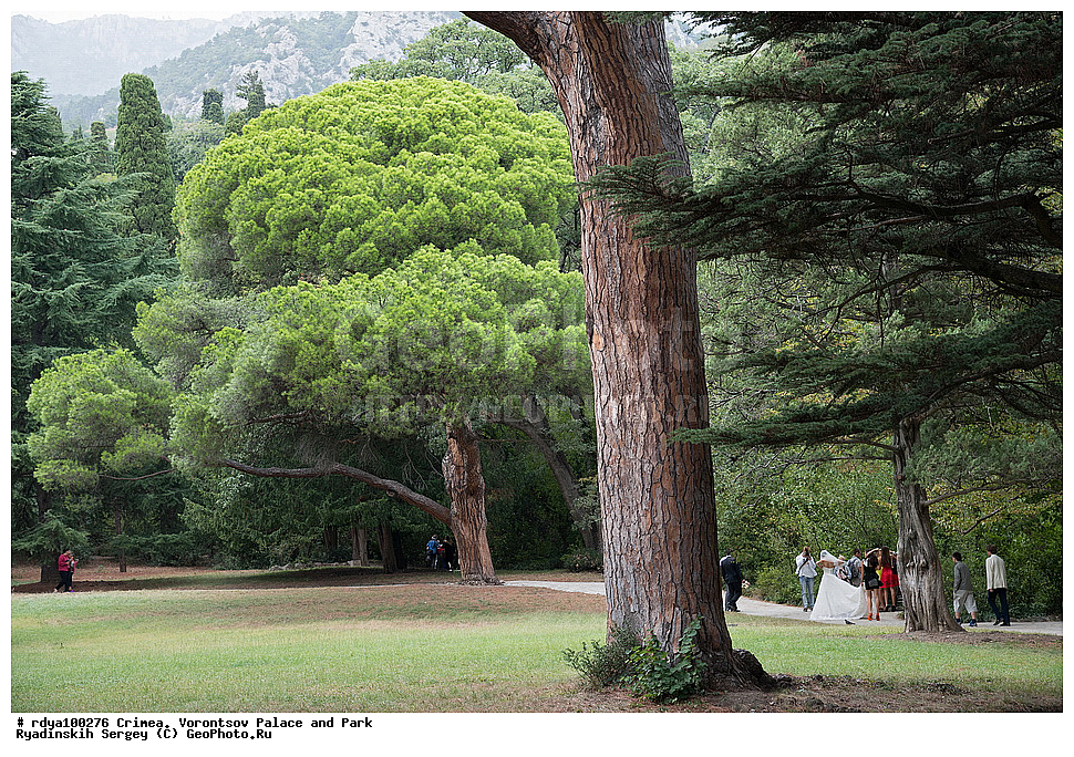 ����, ������, ������������ ����, �������� �������, ����� ����� �����, �����, �����, ��������� ������, ����������� ����� 