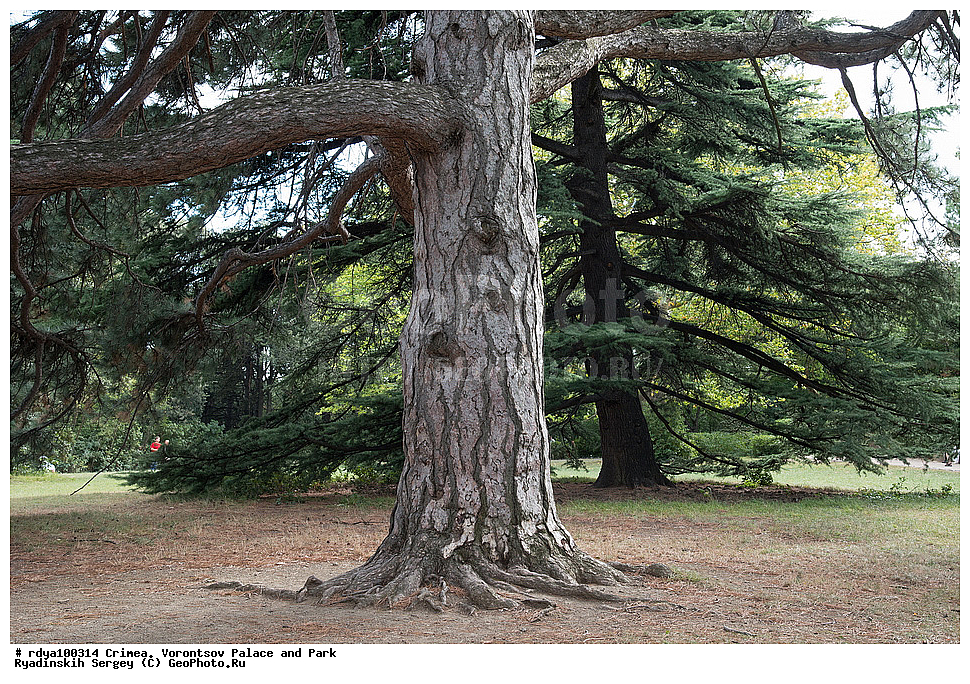 ����, ������, ������������ ����, �������� �������, ����� ����� �����, �����, �����