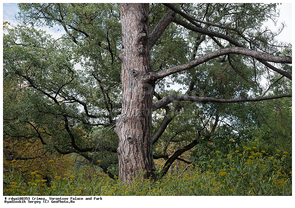 ����, ������, ������������ ����, �������� �������, ����� ����� �����, �����,�����