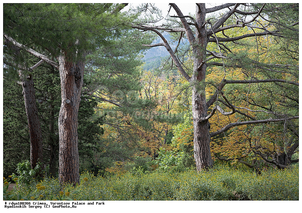 ����, ������, ������������ ����, �������� �������, ����� ����� �����, �����,�����, ��������