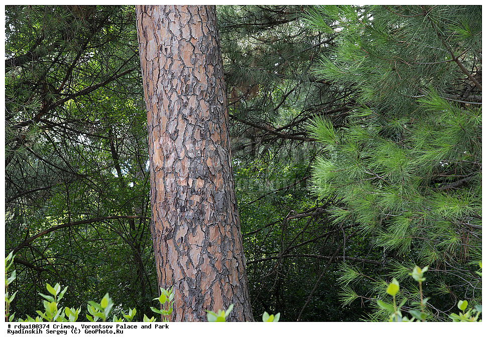 ����, ������, ������������ ����, �������� �������, ����� ����� �����, �����, �����, �������� �����