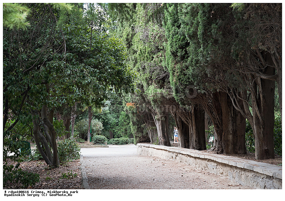 ����, ����� ����� �����, ������, ���������� ����, �������� �������, ��������, ����