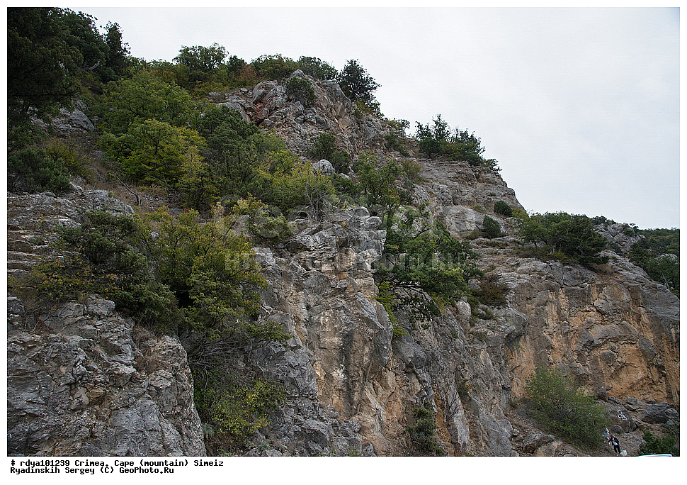 ����, ����� ����� �����, �����, ���� ������, ��������������� �����, ����, �����, �������� �������, ������ �������