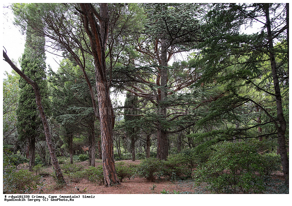 ����, ����� ����� �����, �����, ��������� ����, �������, �����, ��������, �������� �������