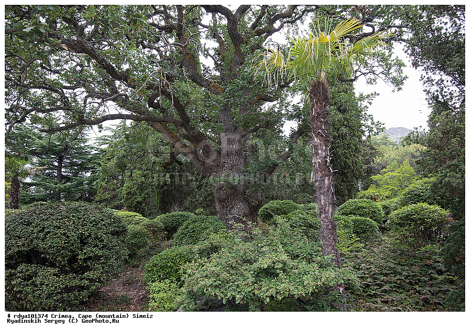 ����, ����� ����� �����, �����, ��������� ����, �������, �����, ��������, �������� �������, �����, ������