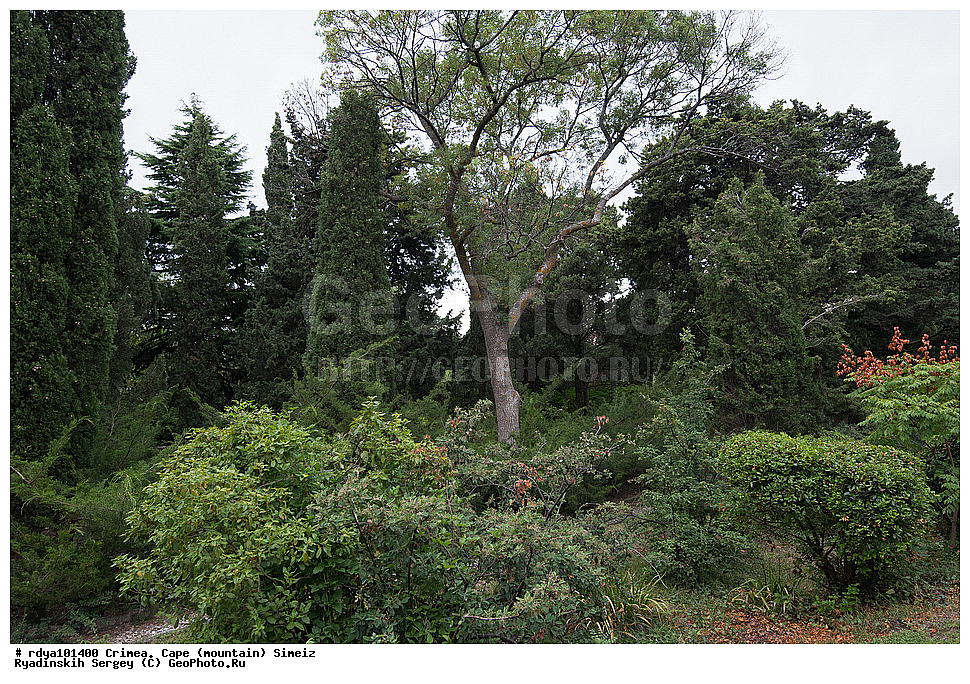 ����, ����� ����� �����, �����, ��������� ����, �������, �����, ��������, �������� �������, �����