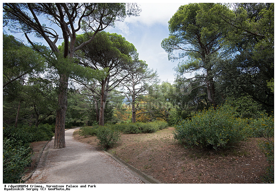 ����, ������, ������������ ����, �������� �������, ����� ����� �����, �����, �������� �����