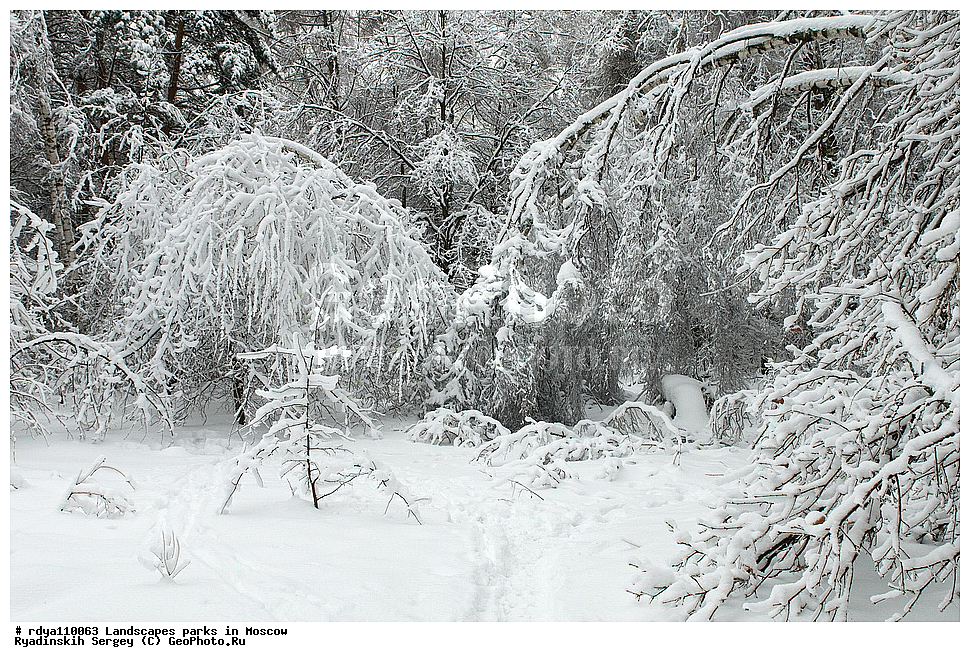 ������, ������, ����, ����, ����, �����, ������ ������, �������, �����