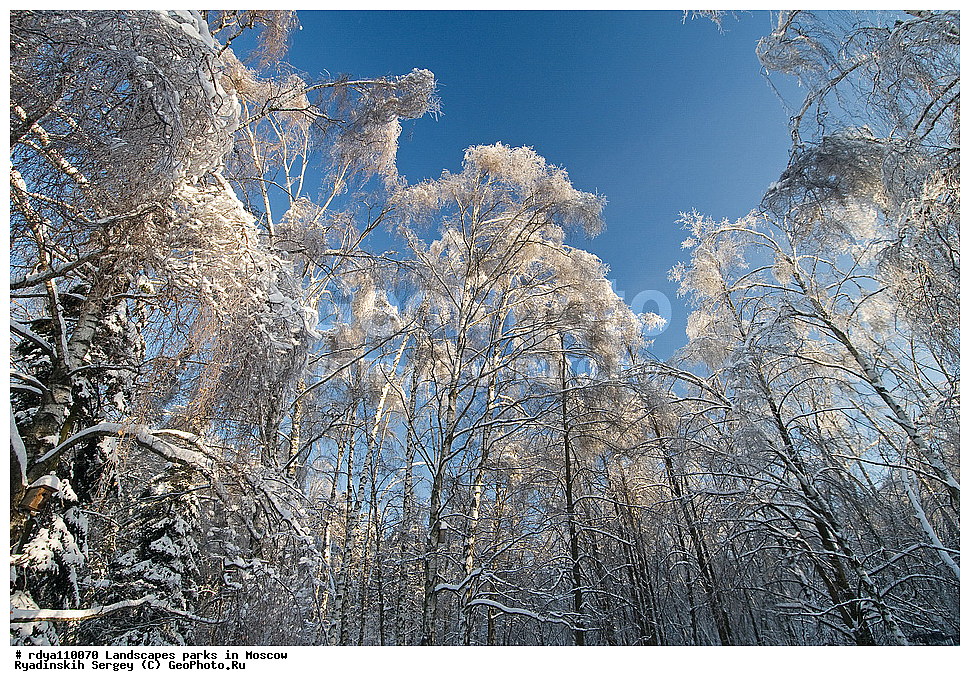 ������, ������, ����, ����, ����, �����, ������ ������, �����, �������, ������, �����