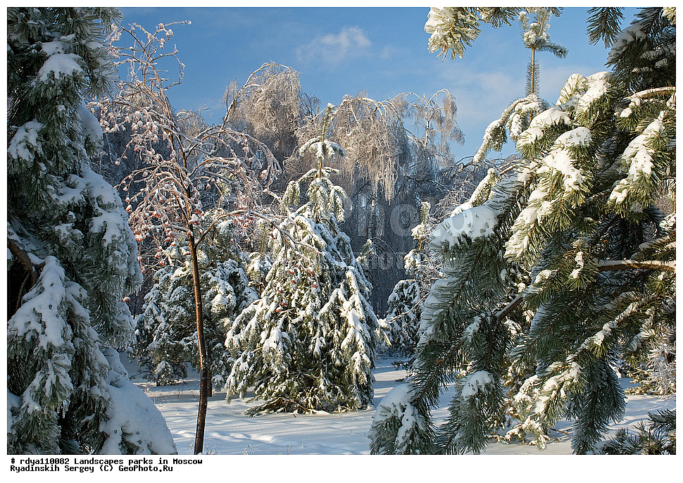 ������, ������, ����, ����, ����, �����, ������ ������, �������, ���, ������