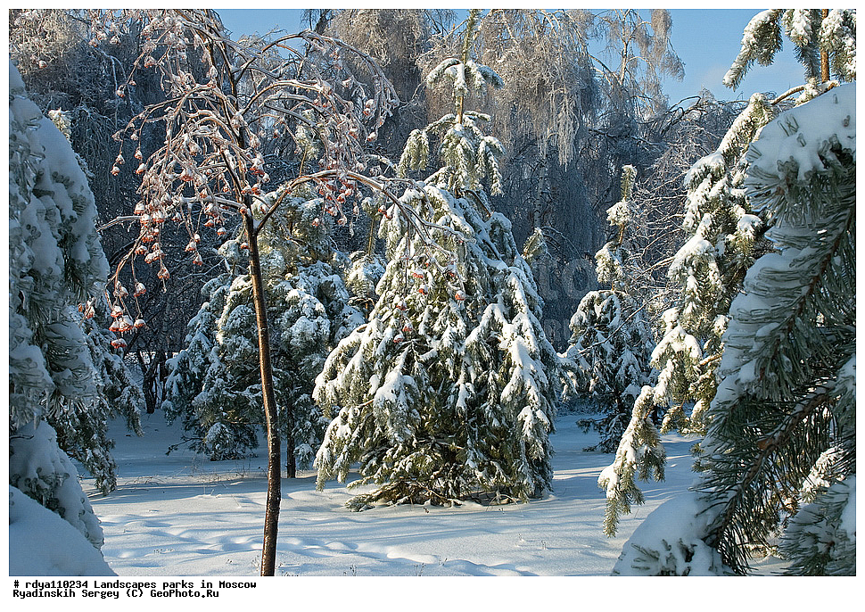 ������, ������, ����, ����, ����, �����, ������ ������, �������, ���, ������