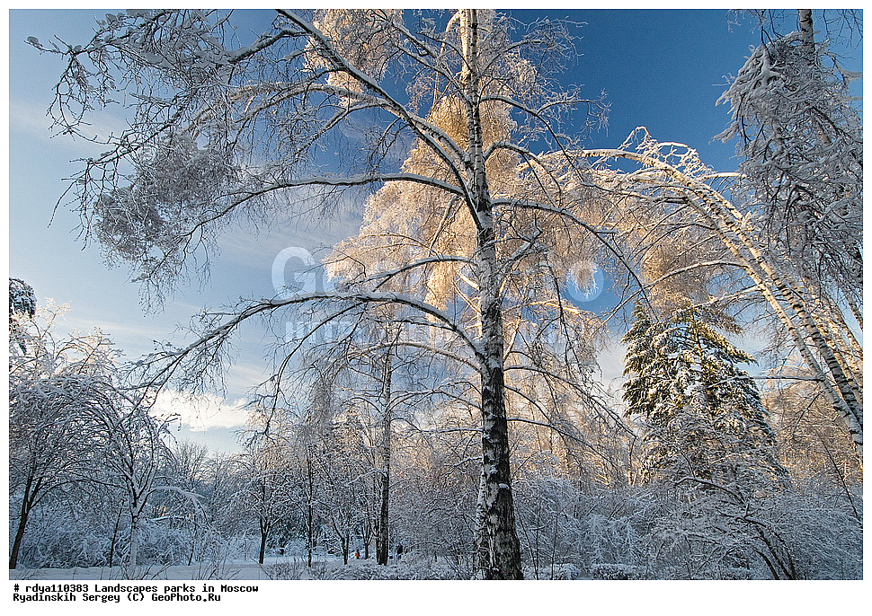 ������, ������, ����, ����, ����, �����, ������ ������, �������, ���, ������