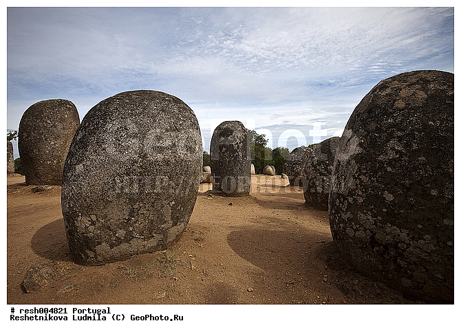 ����������, �������, �����