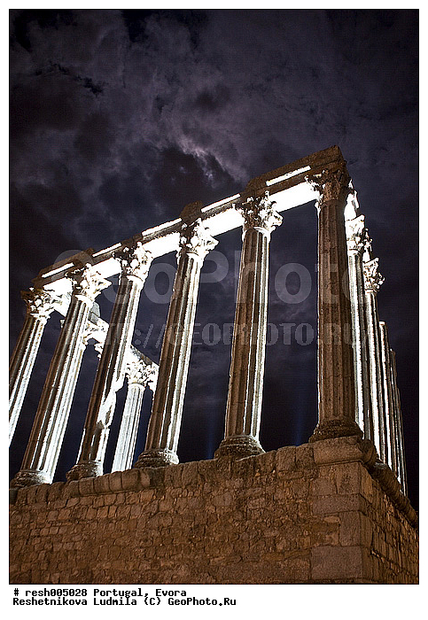 ����������, �����, �������, ����