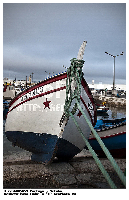 ����������, �������, �����, ����