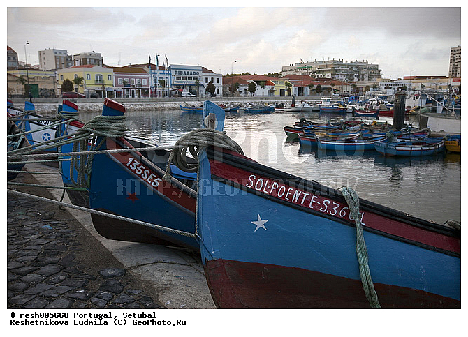 ����������, �������, �����, ����