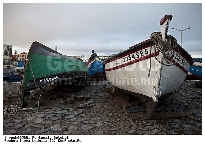 ����������, �������, �����, ����