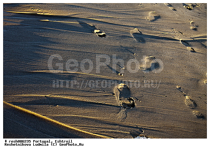 ����������, �������, �����, �����