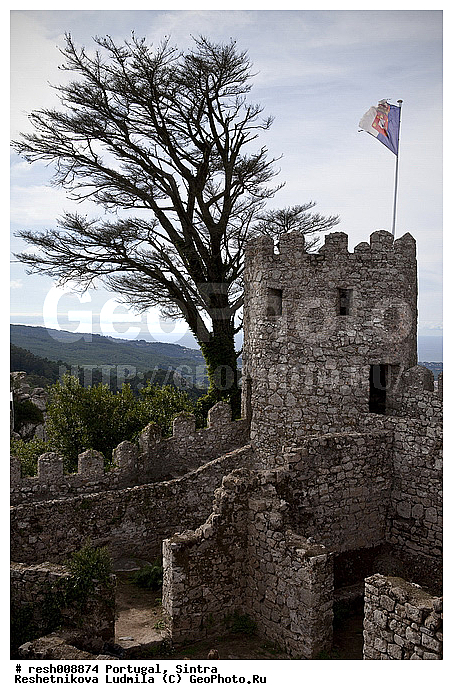 ����������, ������, ������, ��������, �����