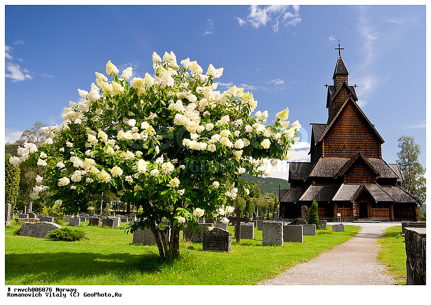 ��������, �������, ����������, ���������������������, ��������, �������, ��������, ��������, ������, �����������, ������, �����, ����, �����, ����, ������, ����, �������, ������, �������, �����������, ������������, ���������, ������������, �����������