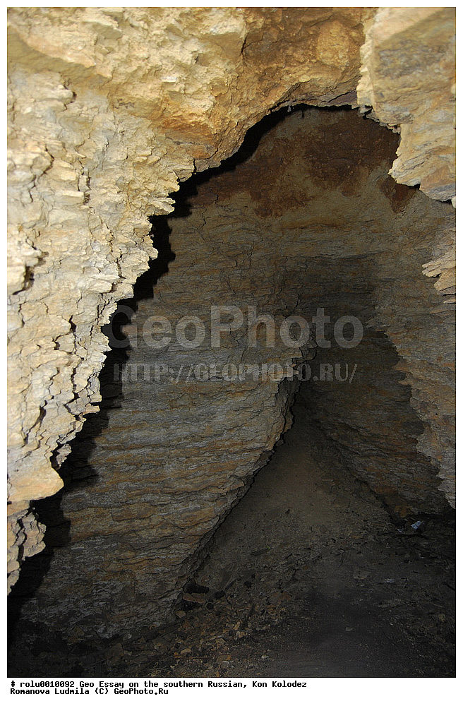 ����� ������, ������, ���� ��������