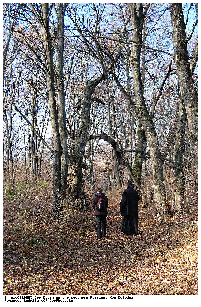 ����� ������, ������, ���� ��������