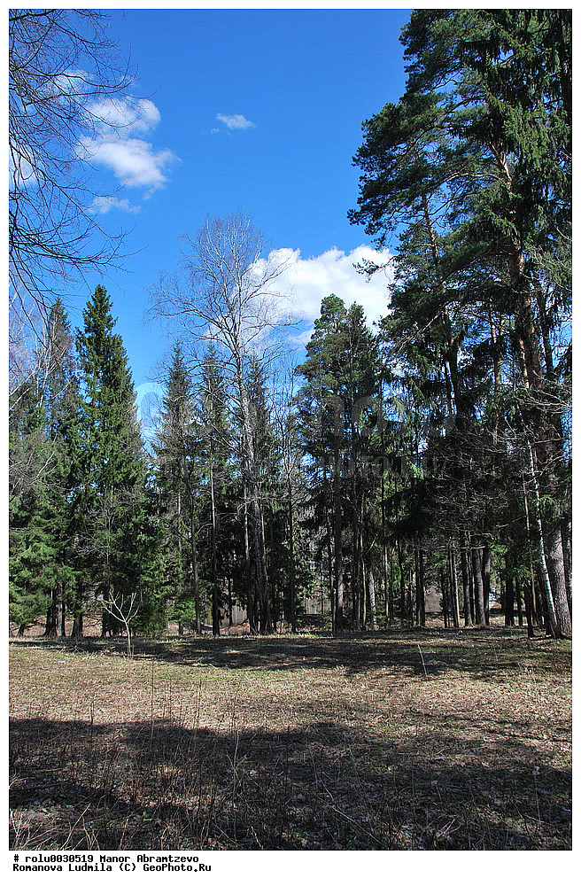 �������, ���������