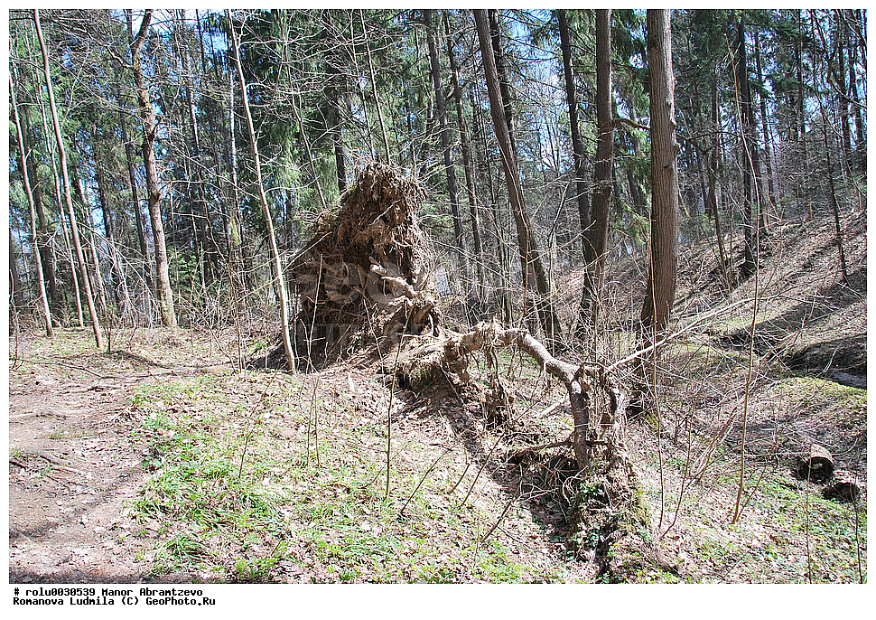 �������, ���������