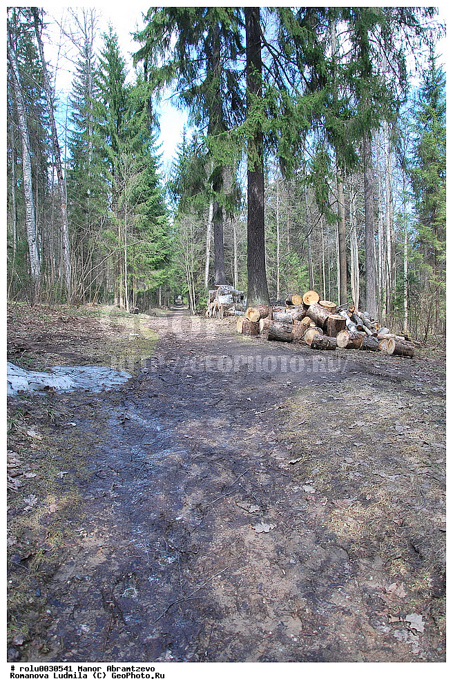 �������, ���������