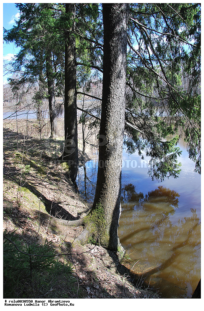 �������, ���������