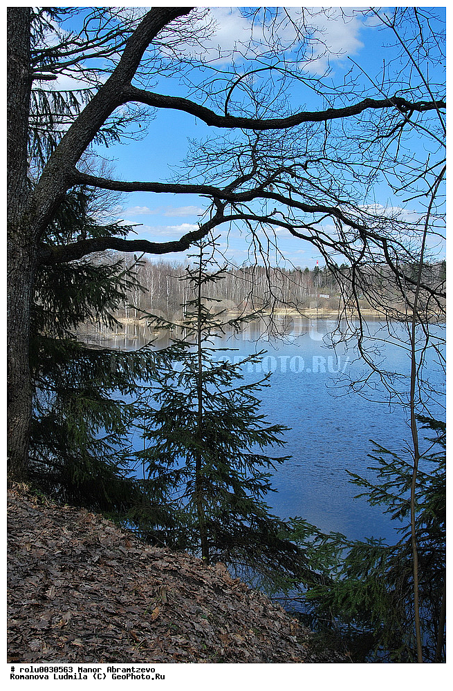 �������, ���������