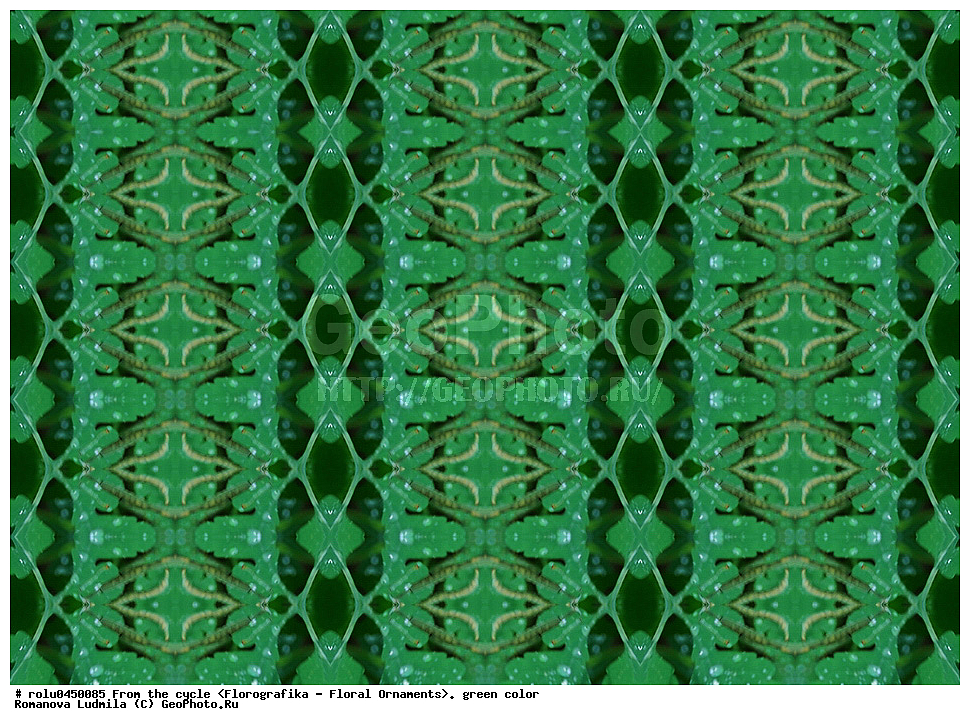 ���������, ������������������, ���������, ���������, ����, ������������, �����, ��������, �������