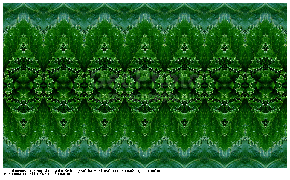 ���������, ������������������, ���������, ���������, ����, ������������, �����, ��������, �������