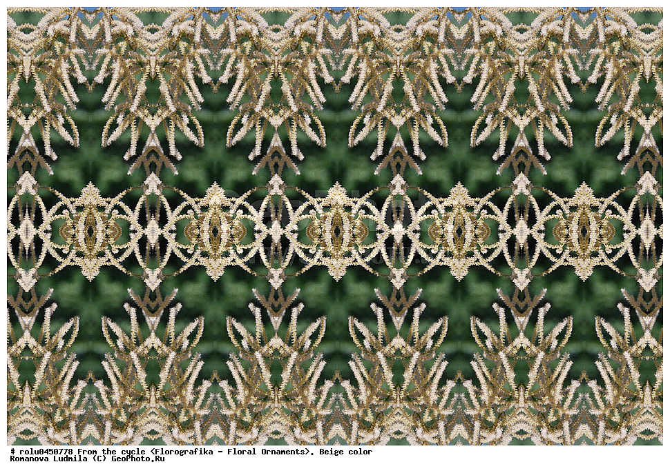 ���������, ������������������, ���������, ���������, ����, ������������, �����, ��������, �������