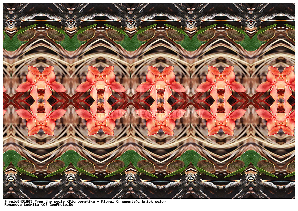 ���������, ������������������, ���������, ���������, ����, ������������, �����, ��������, ���������