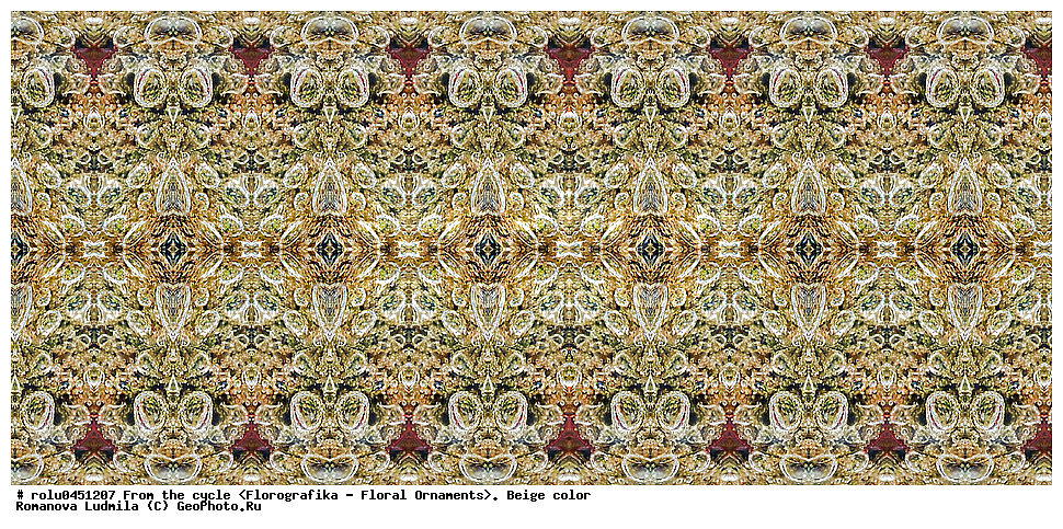 ���������, ������������������, ���������, ���������, ����, ������������, �����, ��������, �������