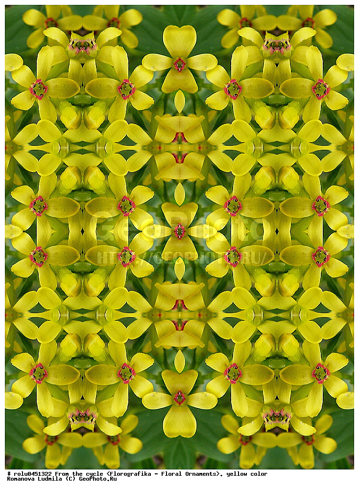 ���������, ������������������, ���������, ���������, ����, ������������, �����, ��������, ������