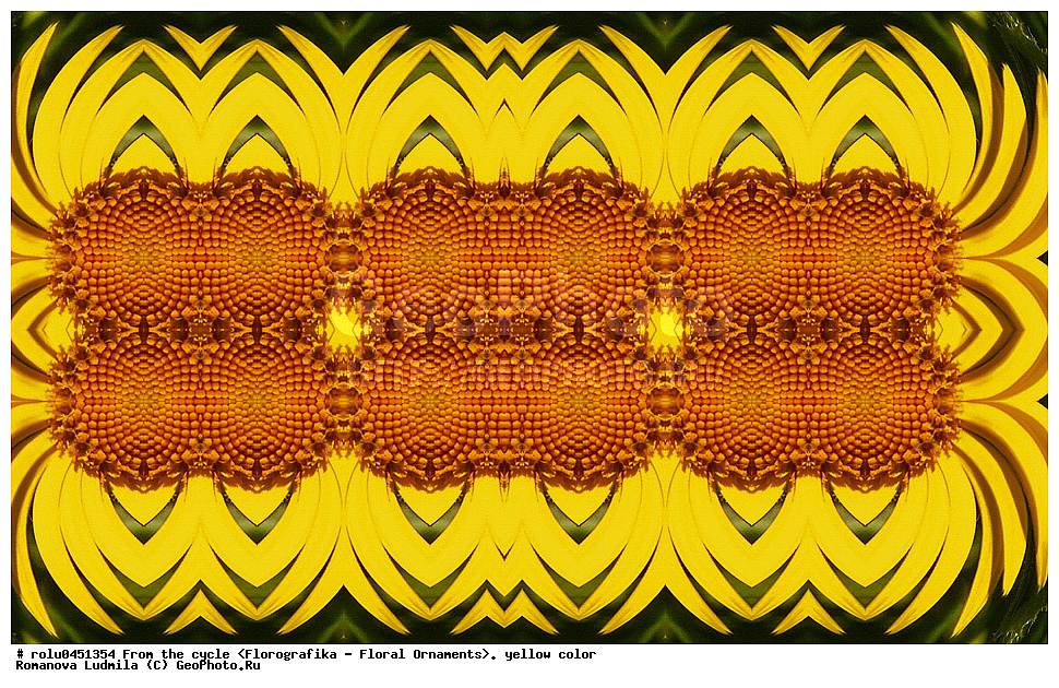 ���������, ������������������, ���������, ���������, ����, ������������, �����, ��������, ������