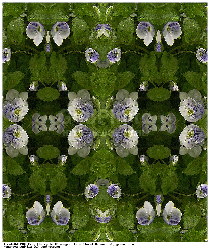 ���������, ������������������, ���������, ���������, ����, ������������, �����, ��������, �������