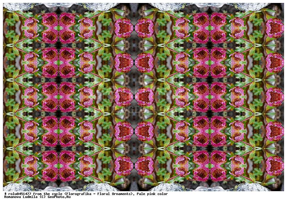 ���������, ������������������, ���������, ���������, ����, ������������, �����, ��������, ������-�������