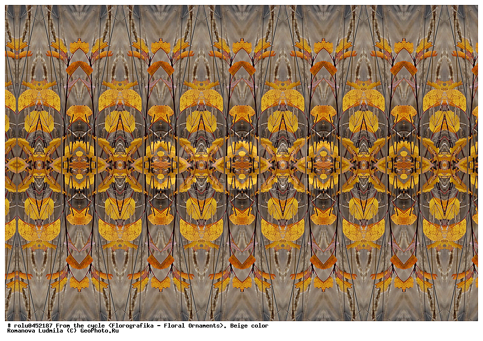 ���������, ������������������, ���������, ���������, ����, ������������, �����, ��������, �������