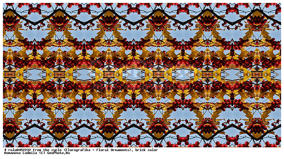 ���������, ������������������, ���������, ���������, ����, ������������, �����, ��������, ���������