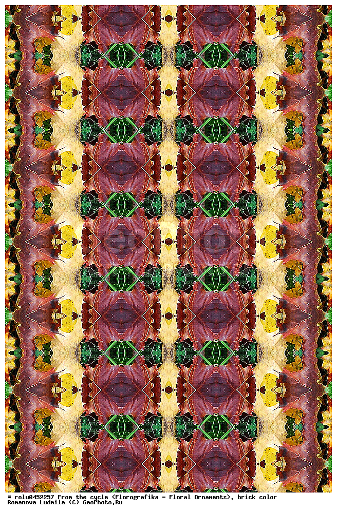 ���������, ������������������, ���������, ���������, ����, ������������, �����, ��������, ���������