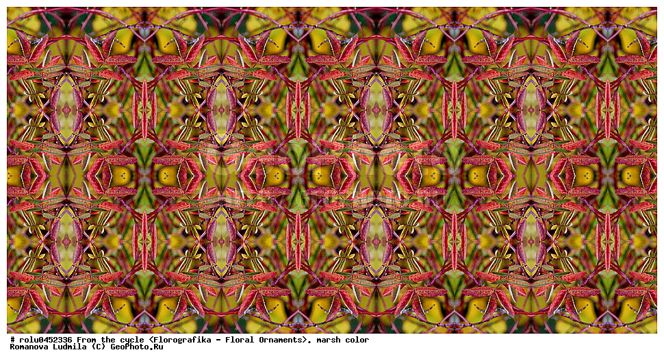 ���������, ������������������, ���������, ���������, ����, ������������, �����, ��������, ��������