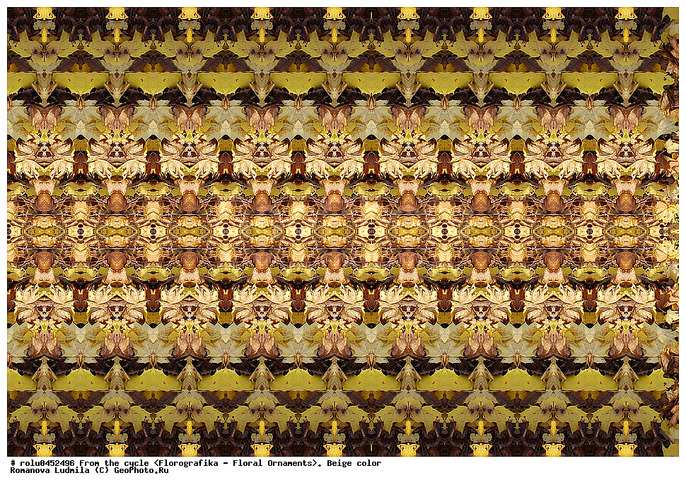 ���������, ������������������, ���������, ���������, ����, ������������, �����, ��������, �������