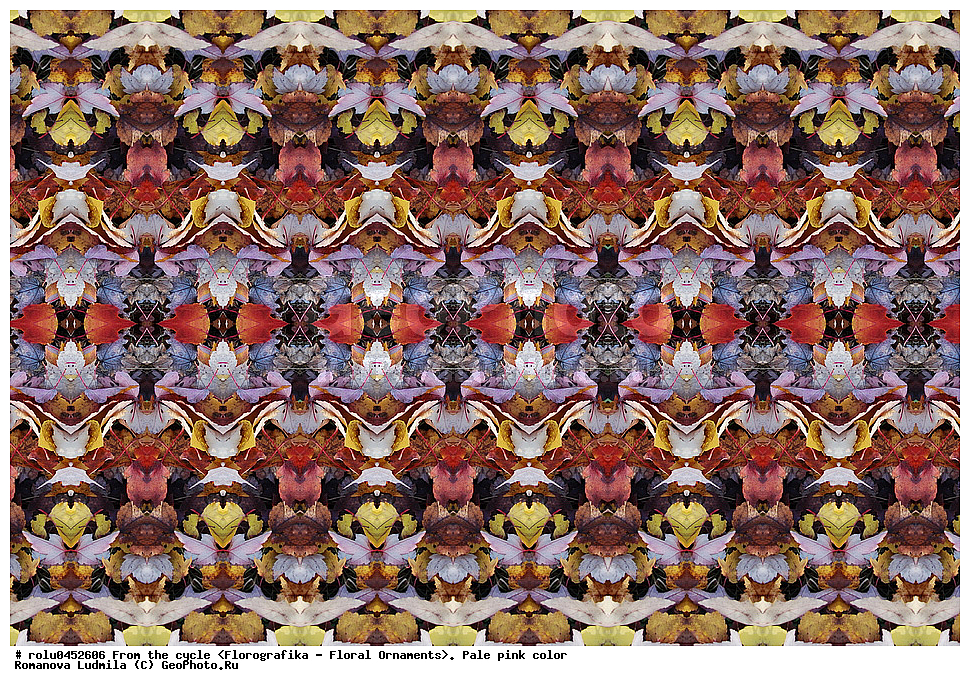 ���������, ������������������, ���������, ���������, ����, ������������, �����, ��������, ������-�������