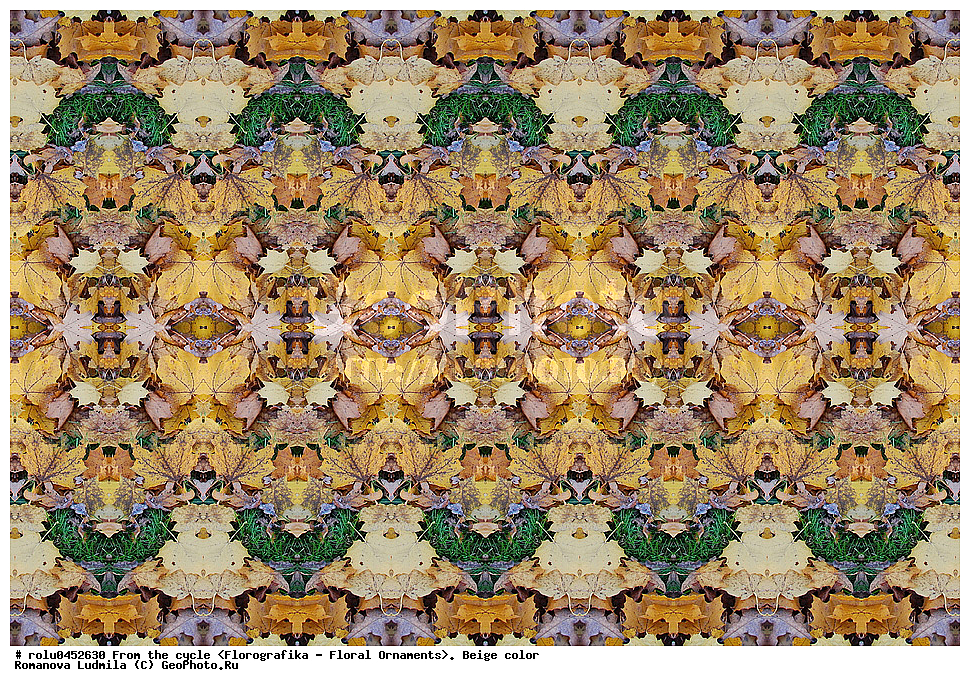 ���������, ������������������, ���������, ���������, ����, ������������, �����, ��������, �������