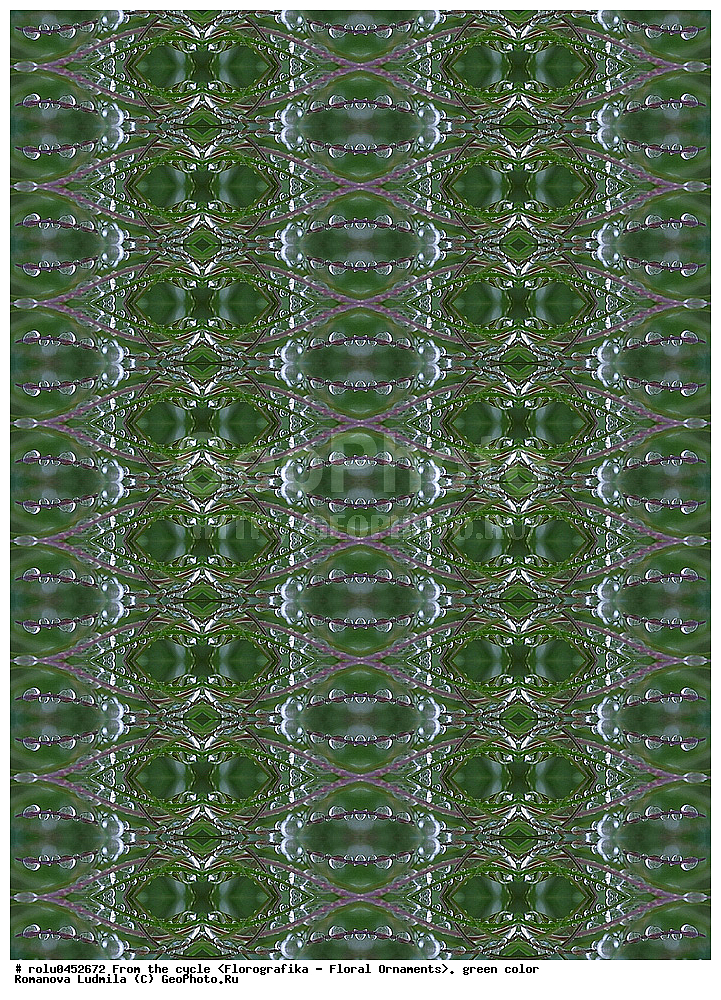 ���������, ������������������, ���������, ���������, ����, ������������, �����, ��������, �������