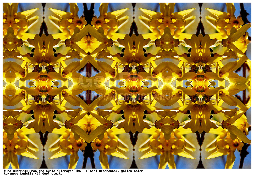 ���������, ������������������, ���������, ���������, ����, ������������, �����, ��������, ������