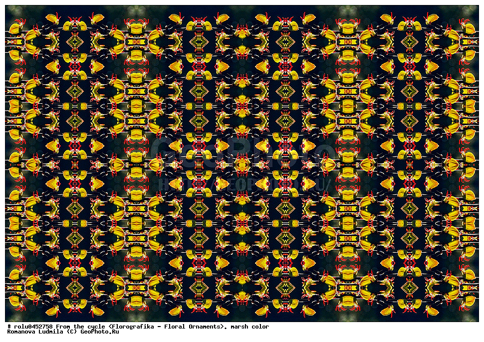 ���������, ������������������, ���������, ���������, ����, ������������, �����, ��������, ��������